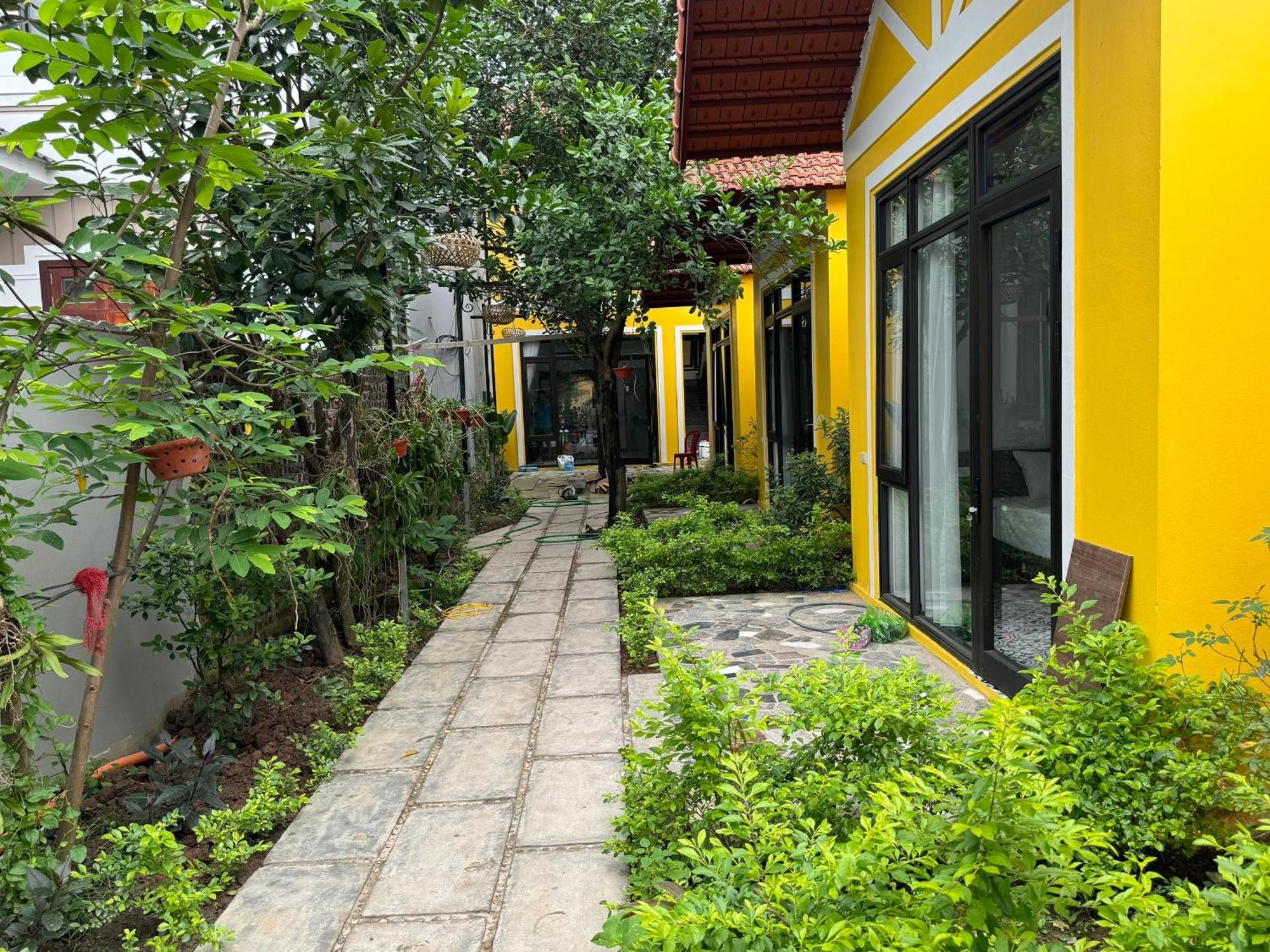 Maison d'hôtes Azalea Tam Coc Ninh Bình Extérieur photo