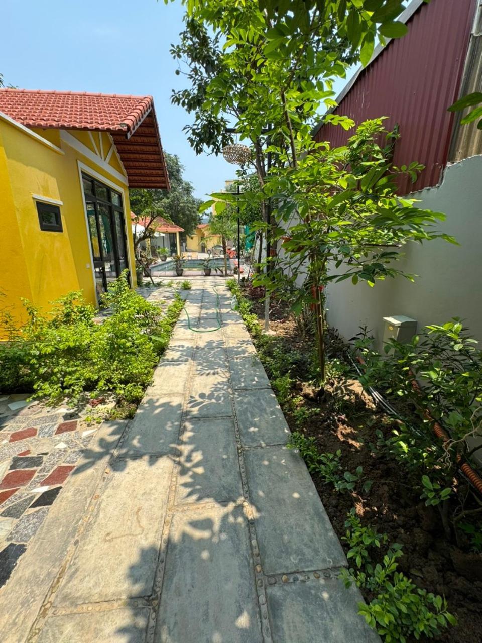 Maison d'hôtes Azalea Tam Coc Ninh Bình Extérieur photo